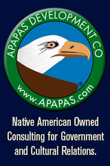 NATIVE AMERICAN INDIAN OWNED BUSINESS